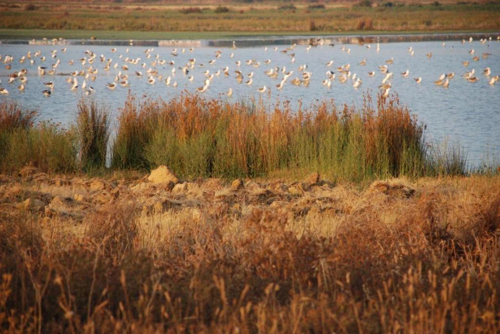 Salgados - Vila Das Lagoas Guia  Buitenkant foto